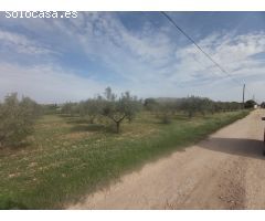 VENDE TERRENO EN VILLENA
