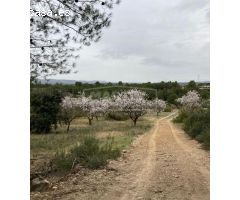 ¡Finca rústica con encanto por solo 31.500€!