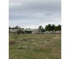 ¡Finca rústica con encanto por solo 31.500€!