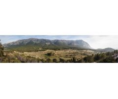 Finca Casas Nuevas (Sierra Espuña)