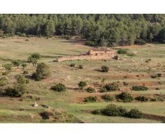 Finca Casas Nuevas (Sierra Espuña)