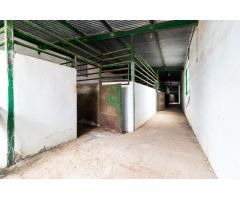 Cortijo con instalaciones para caballos y tierra de labor