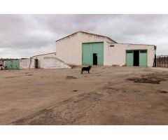 Cortijo con instalaciones para caballos y tierra de labor