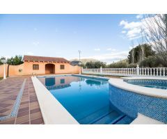 Chalet con finca de olivos en Bullas