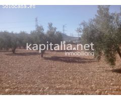 Terreno a la venta en Termino de Banyeres