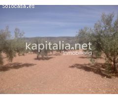 Terreno a la venta en Termino de Banyeres