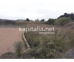 TERRENO HUERTA EN VENTA