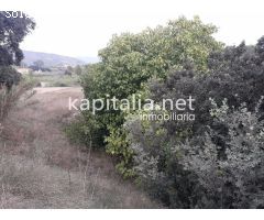 TERRENO HUERTA EN VENTA