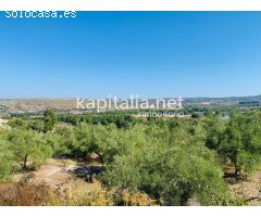 Parcela a la venta en Alfafara.