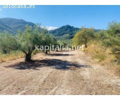 Parcela a la venta en Alfafara.