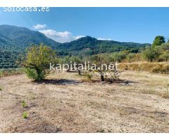 Parcela a la venta en Alfafara.