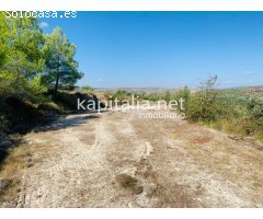 Parcela a la venta en Alfafara.