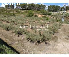 Casa con terreno a la venta en Ontinyent, zona Pou Clar.