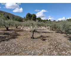 Casa con terreno a la venta en Ontinyent, zona Pou Clar.