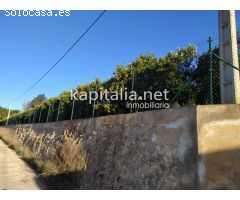 PARCELA RUSTICA A LA VENTA EN CANALS