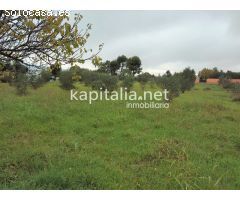TERRENO PARA HUERTA A LA VENTA UBICADO EN EL LLOMBO.