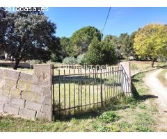 TERRENO URBANO A LA VENTA EN L´ALCUDIA DE CRESPINS.