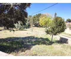 TERRENO URBANO A LA VENTA EN L´ALCUDIA DE CRESPINS.