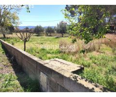 TERRENO URBANO A LA VENTA EN L´ALCUDIA DE CRESPINS.