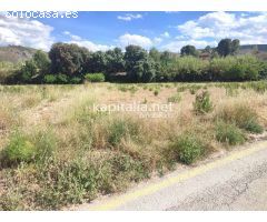 PARCELA A LA VENTA EN ONTINYENT, UBICADA EN LA ZONA DEL LLOMBO.