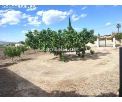 TERRENO A LA VENTA EN ONTINYENT UBICADO ZONA EL LLOMBO