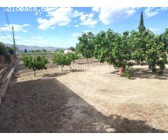 TERRENO A LA VENTA EN ONTINYENT UBICADO ZONA EL LLOMBO