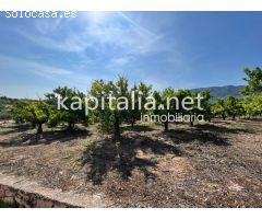 TERRENO EN PRODUCCÓN A LA VENTA EN VALLÉS