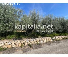 TERRENO EN PRODUCCÓN A LA VENTA EN VALLÉS