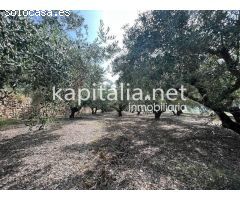 Espectacular terreno a la venta en Agullent