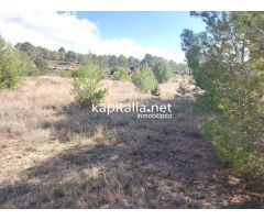 TERRENO NO URBANIZABLE A LA VENTA  EN ONTINYENT, ZONA DE TODOS LOS VIENTOS