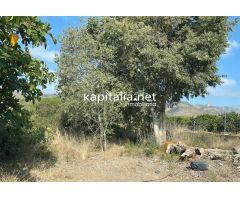 Terreno rural a la venta en Rótova