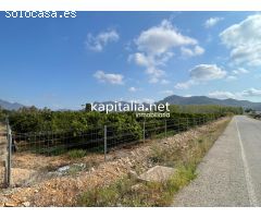 Terreno rural a la venta en Alfauir.