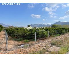 Terreno rural a la venta en Alfauir.