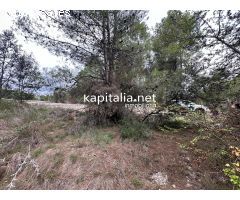 Parcela a la venta en Alfafara