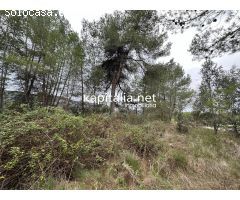 Parcela a la venta en Alfafara