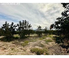 Chalet reformado a la venta en Xativa