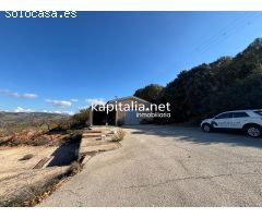 Finca de cerezos en Almudaiana