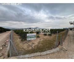 TERRENO RUSTICO CON CASETA DE APEROS, A LA VENTA EN XATIVA