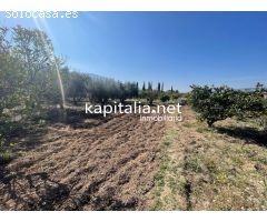 Terreno en Vallada