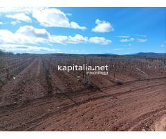 FINCA RUSTICA A LA VENTA