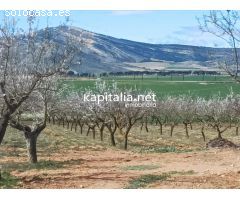 FINCA RUSTICA A LA VENTA