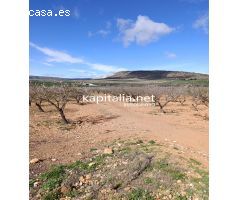 FINCA RUSTICA A LA VENTA