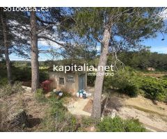 TERRENO RUSTICO AGRARIO EN PLENA PRODUCCION A LA VENTA EN XATIVA