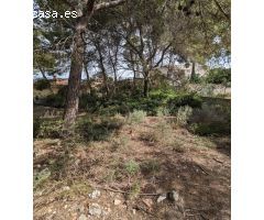 Oportunidad Única: Terreno en Santa Ponsa, Mallorca