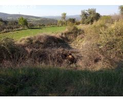 Finca rústica con casa, pajar y corrales en Benabarre