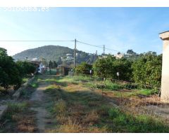 Parcela en Venta en El Olivar, Valencia