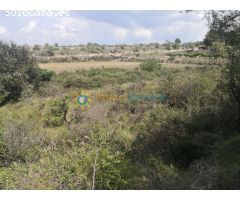 Terreno de venta en Castellon de Rugat