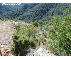 Parcela en venta en Oliva (Bellavista)
