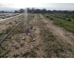 Casa de campo a la venta en Beniganim