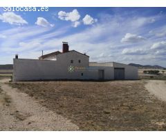 Finca rústica de venta en Villena
